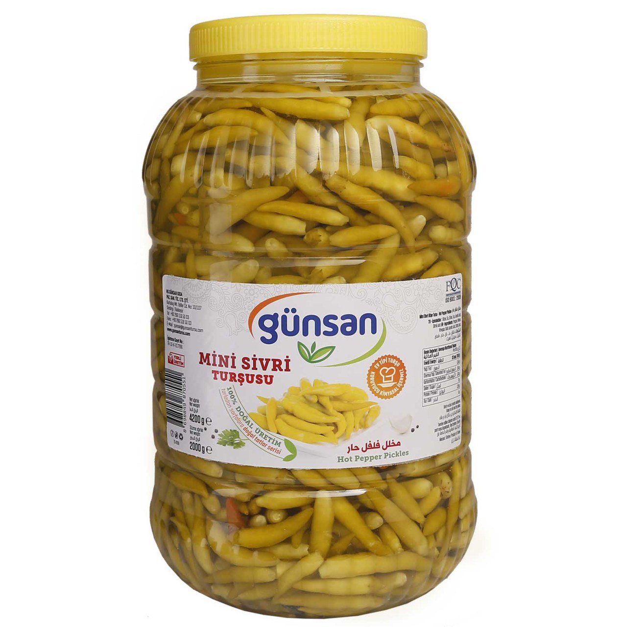 4.2 kg  Mini Sivri Turşu