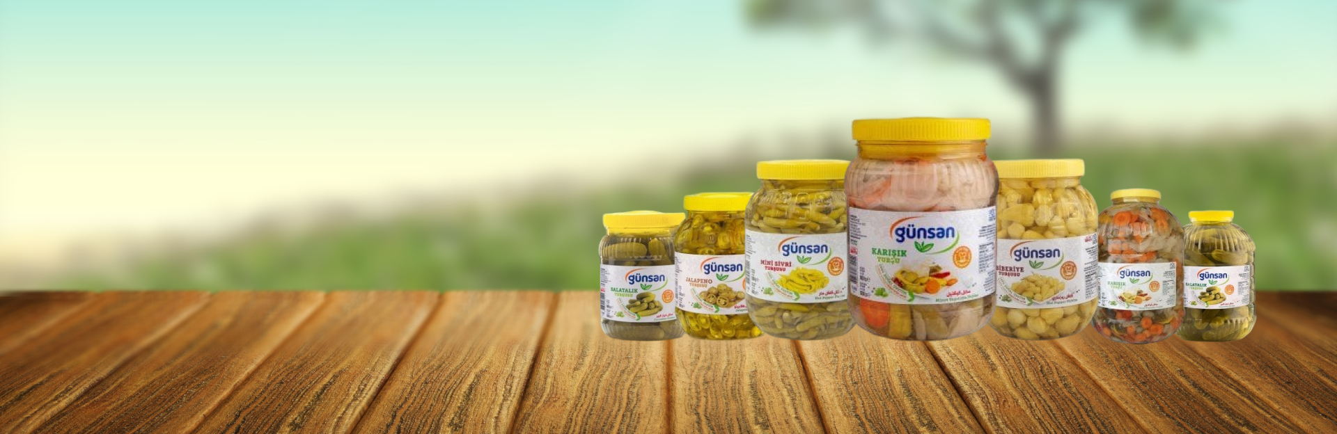 Lezzetli turşularla dolu <span>bir dünya keşfedin!</span>